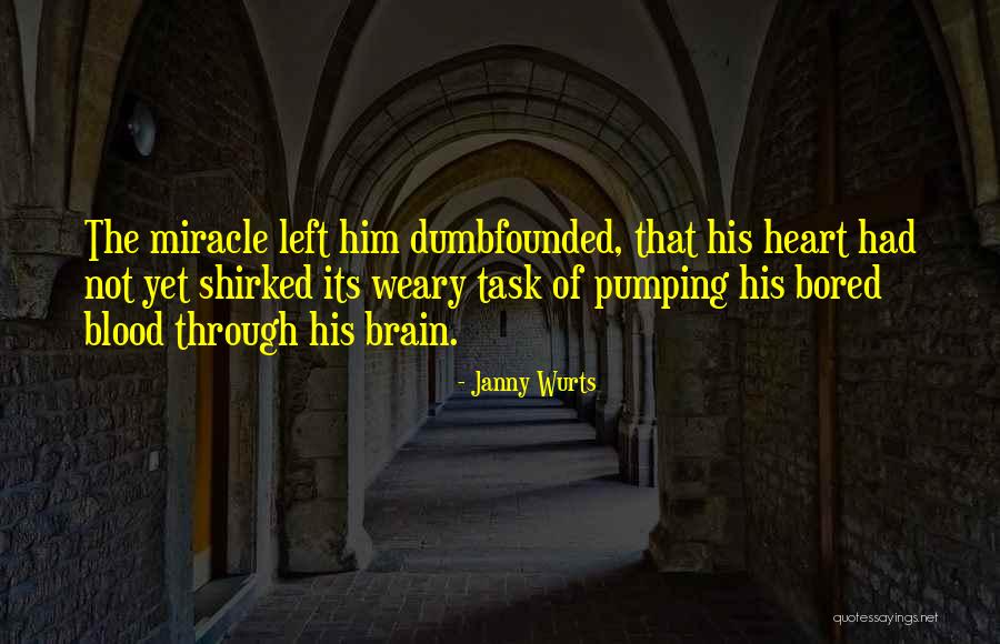 Dumbfounded Quotes By Janny Wurts