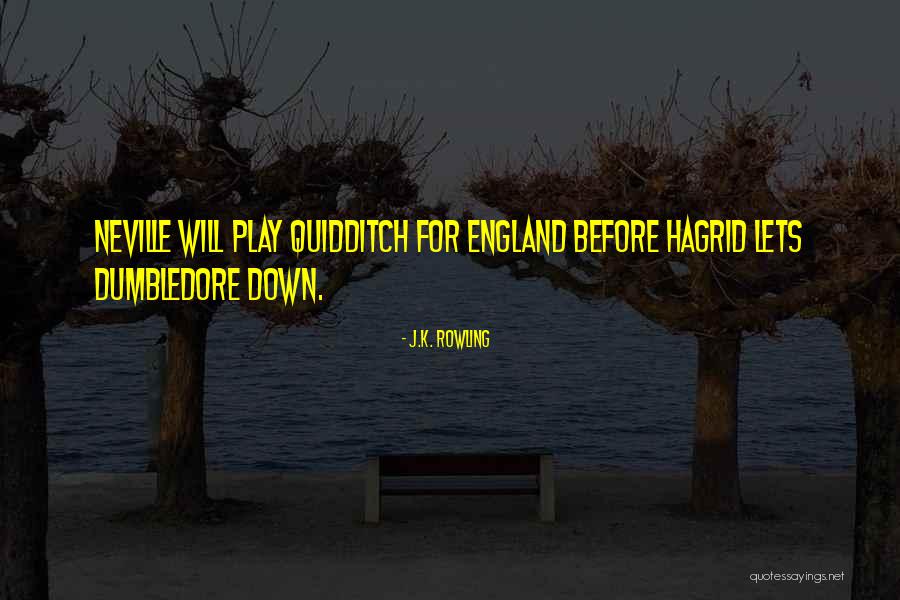Dumbledore Neville Quotes By J.K. Rowling Dumbledore Neville Quotes By J.K. Rowling