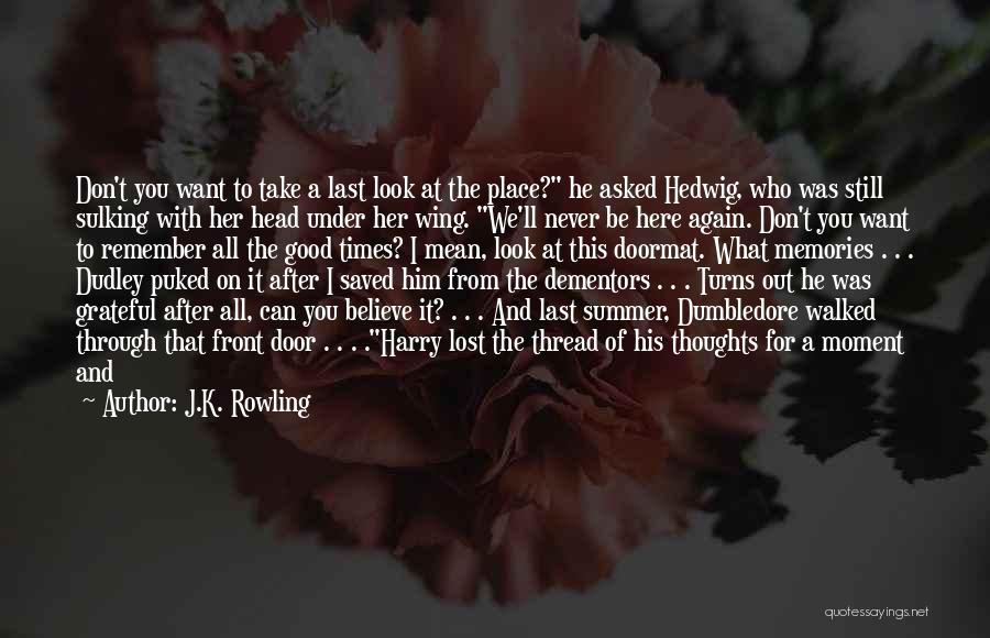 Dumbledore Quotes By J.K. Rowling