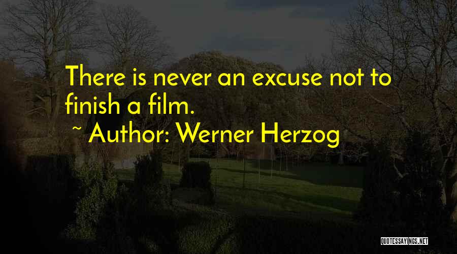 Dumette Quotes By Werner Herzog