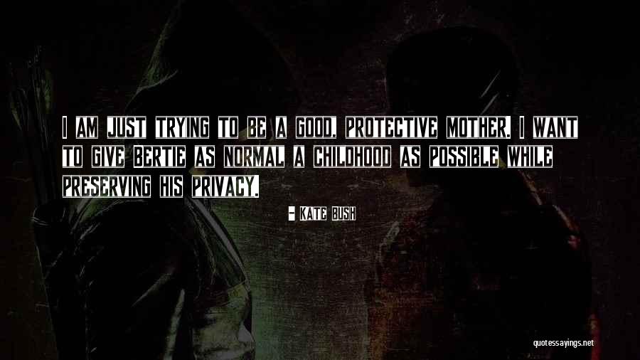 Dumitru Teleaga Quotes By Kate Bush Dumitru Teleaga Quotes By Kate Bush
