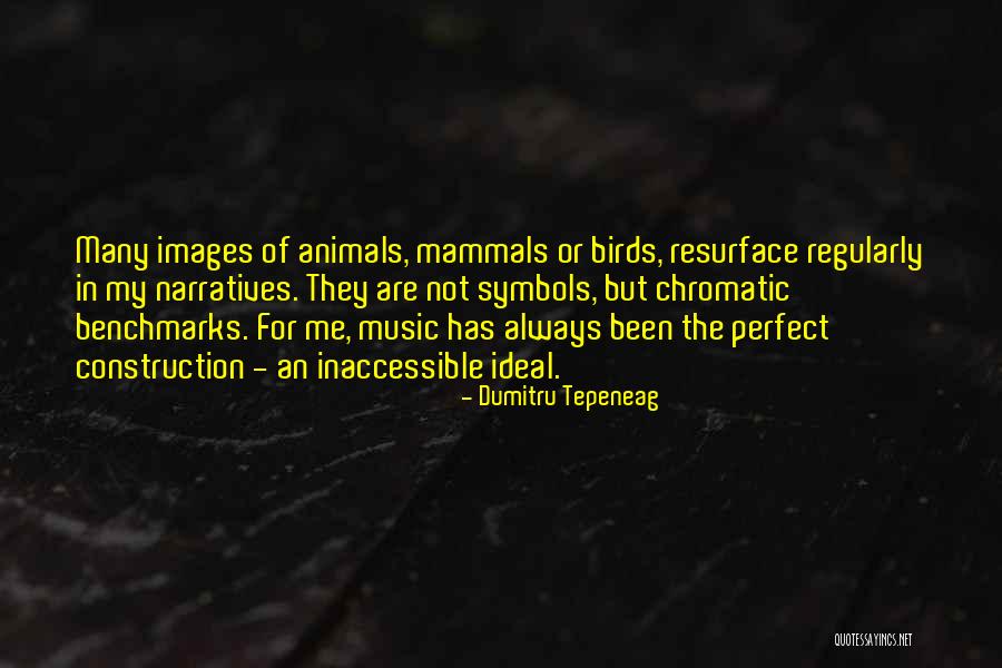 Dumitru Tepeneag Quotes 1309243