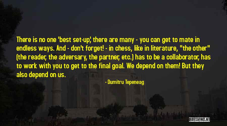 Dumitru Tepeneag Quotes 630309