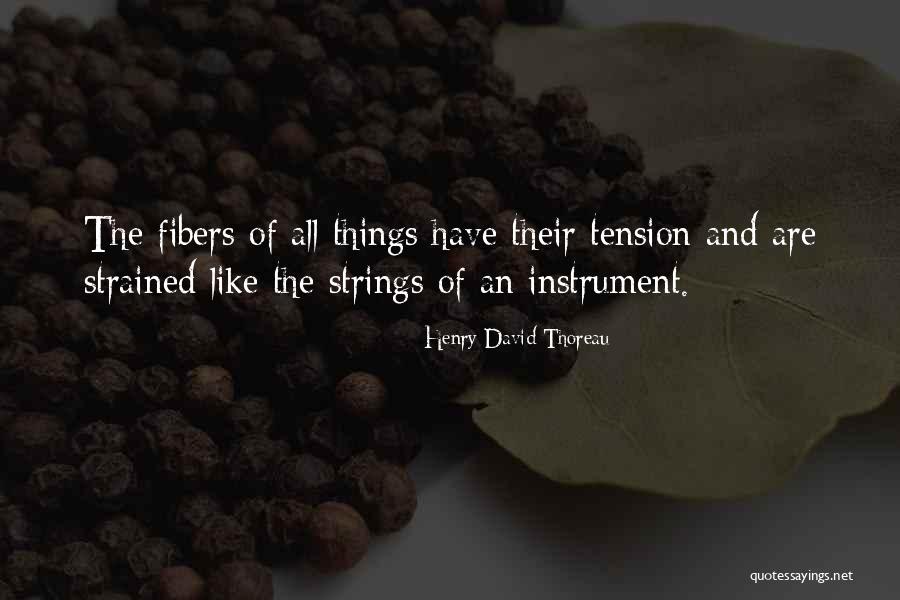 Dummen Mum Quotes By Henry David Thoreau Dummen Mum Quotes By Henry David Thoreau