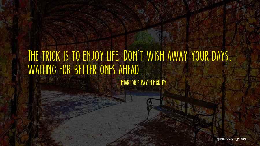 Dummyshoppen Quotes By Marjorie Pay Hinckley Dummyshoppen Quotes By Marjorie Pay Hinckley