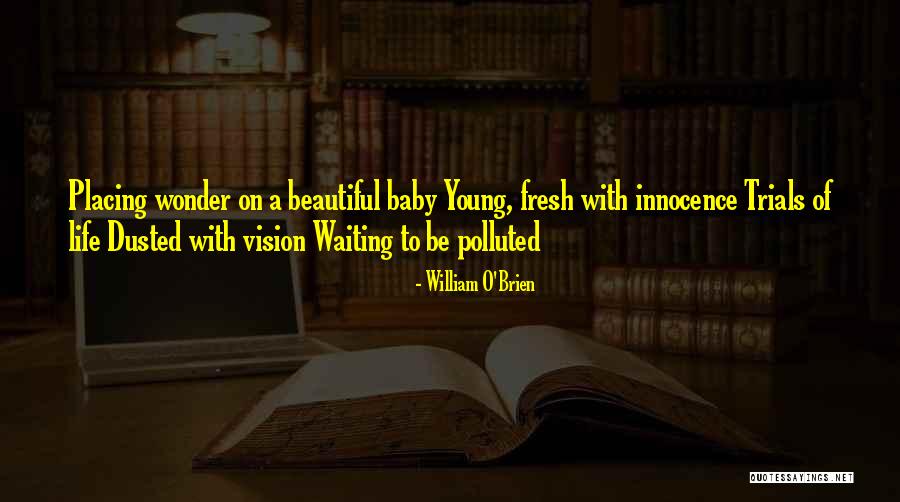 Dummyshoppen Quotes By William O'Brien Dummyshoppen Quotes By William O'Brien