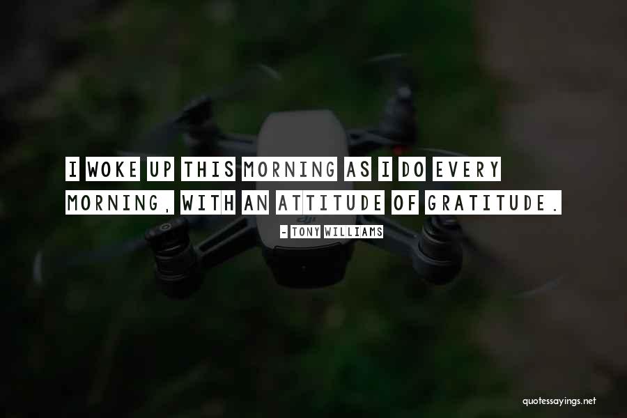 Dumny Flamingo Quotes By Tony Williams Dumny Flamingo Quotes By Tony Williams