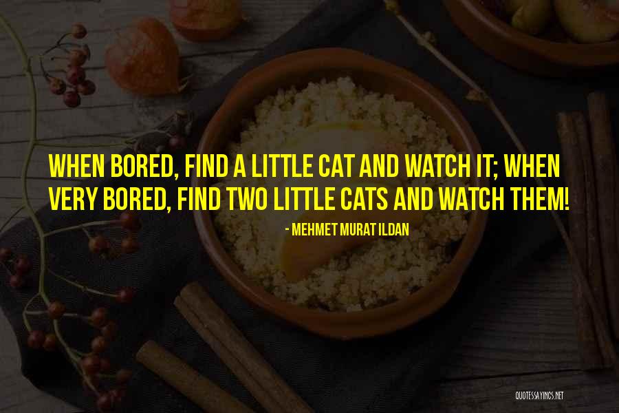 Dumovie88 Quotes By Mehmet Murat Ildan Dumovie88 Quotes By Mehmet Murat Ildan
