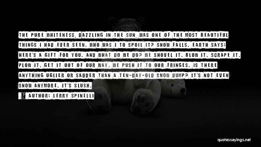 Dump A Day Quotes By Jerry Spinelli