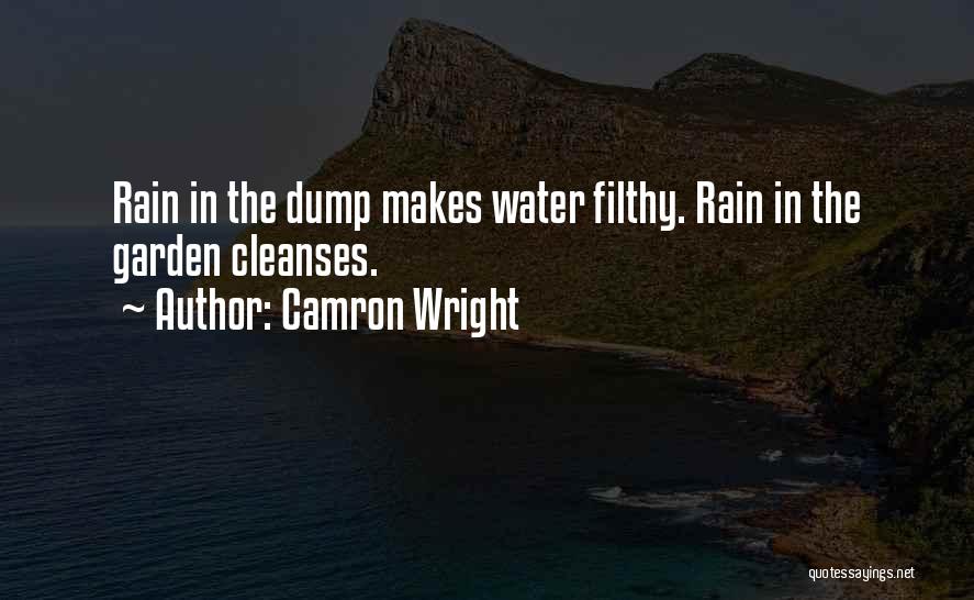 Dump Someone Quotes By Camron Wright