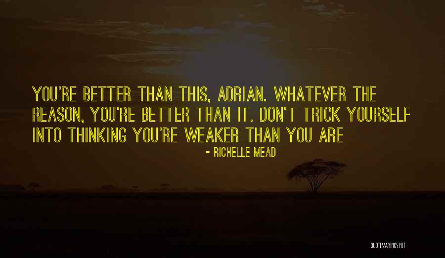 Dumper Dan Quotes By Richelle Mead Dumper Dan Quotes By Richelle Mead
