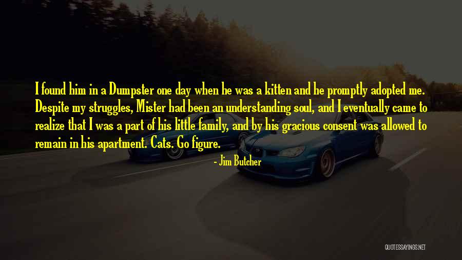 Dumpster Quotes By Jim Butcher