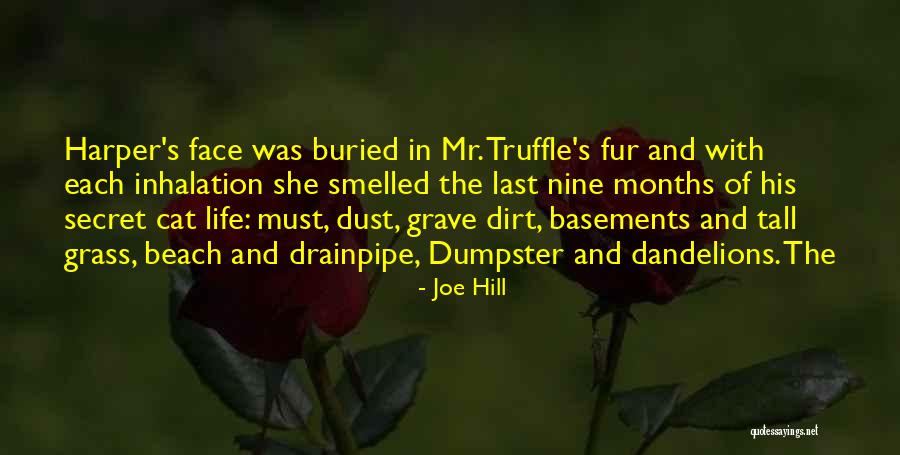 Dumpster Quotes By Joe Hill