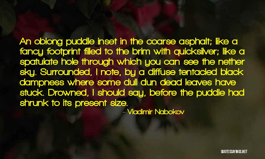 Dun Quotes By Vladimir Nabokov Dun Quotes By Vladimir Nabokov