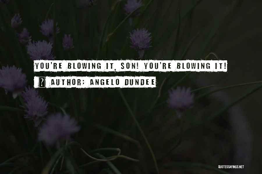 Dundee Quotes By Angelo Dundee