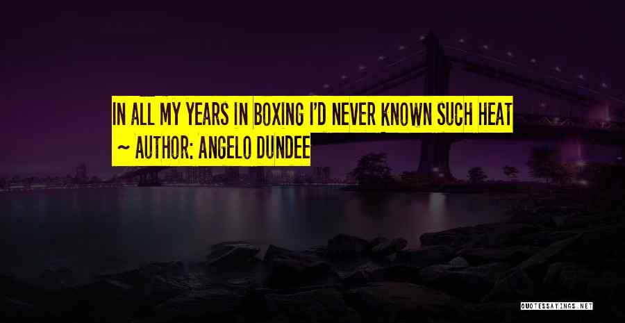Dundee Quotes By Angelo Dundee