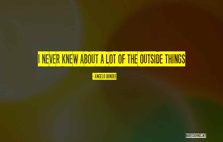 Dundee Quotes By Angelo Dundee Dundee Quotes By Angelo Dundee