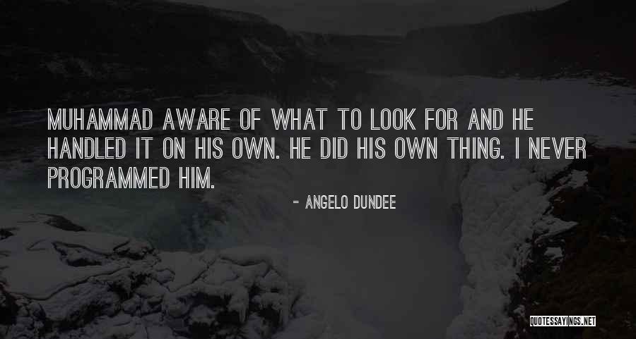 Dundee Quotes By Angelo Dundee