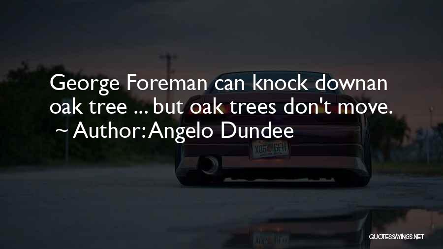 Dundee Quotes By Angelo Dundee