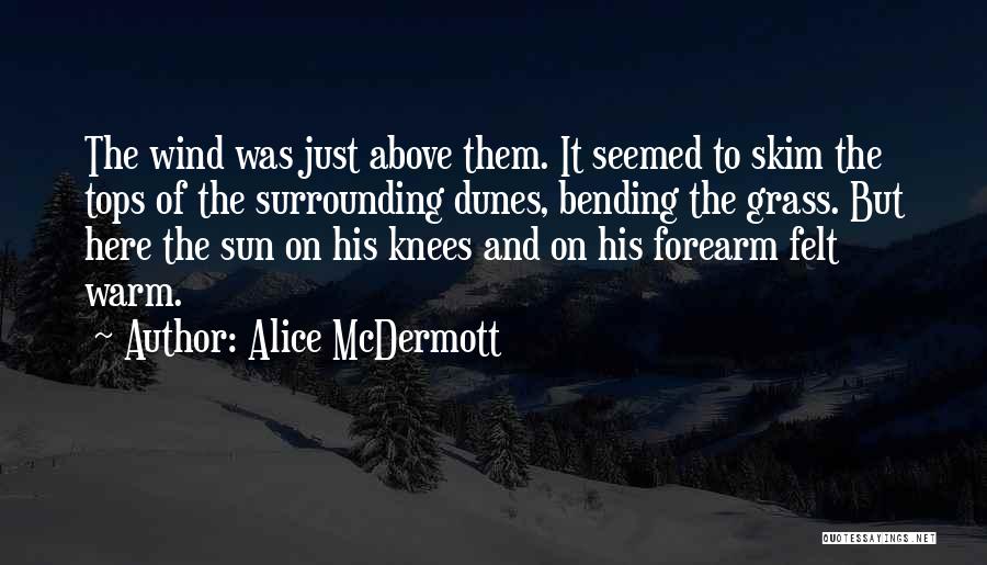 Dunes Quotes By Alice McDermott