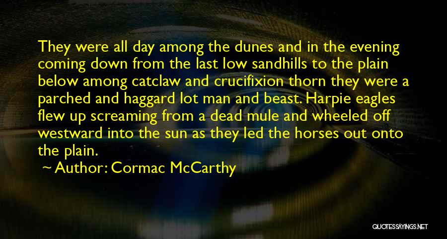 Dunes Quotes By Cormac McCarthy