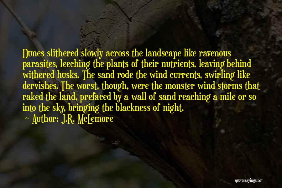 Dunes Quotes By J.R. McLemore