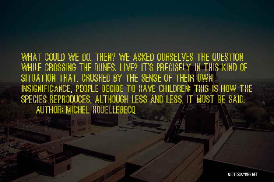 Dunes Quotes By Michel Houellebecq