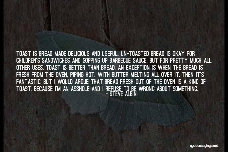 Dunfillan Quotes By Steve Albini Dunfillan Quotes By Steve Albini