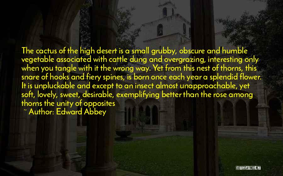 Dung Quotes By Edward Abbey