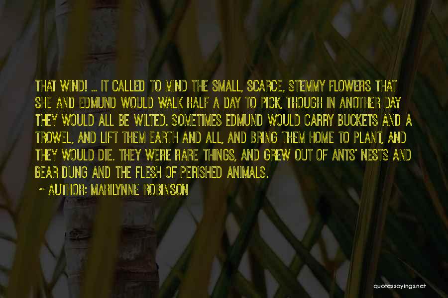 Dung Quotes By Marilynne Robinson