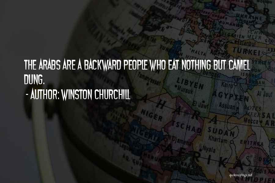 Dung Quotes By Winston Churchill