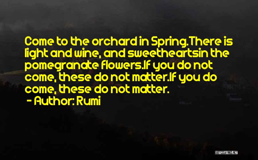 Dungeons And Dragons Game Quotes By Rumi