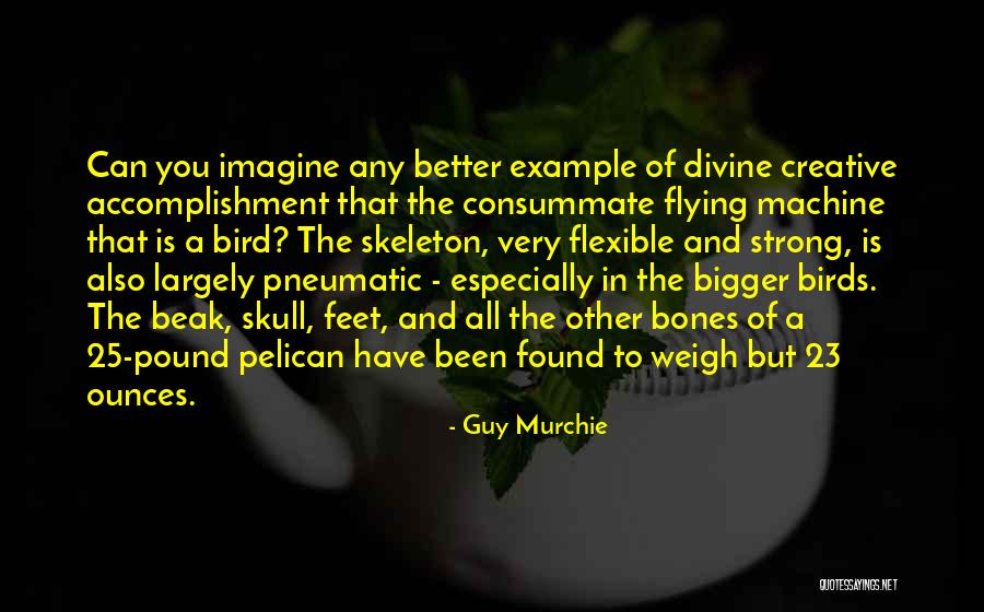 Dunklens Quotes By Guy Murchie Dunklens Quotes By Guy Murchie