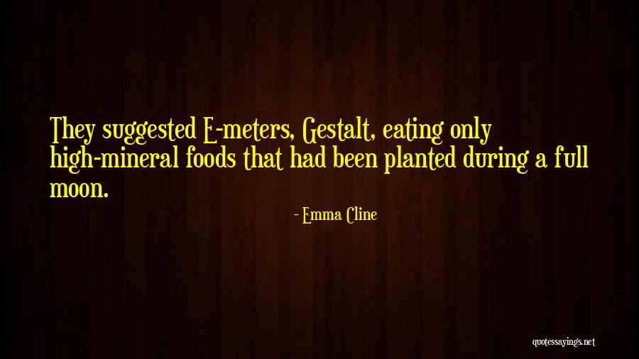 Dunkler Stuhl Quotes By Emma Cline Dunkler Stuhl Quotes By Emma Cline
