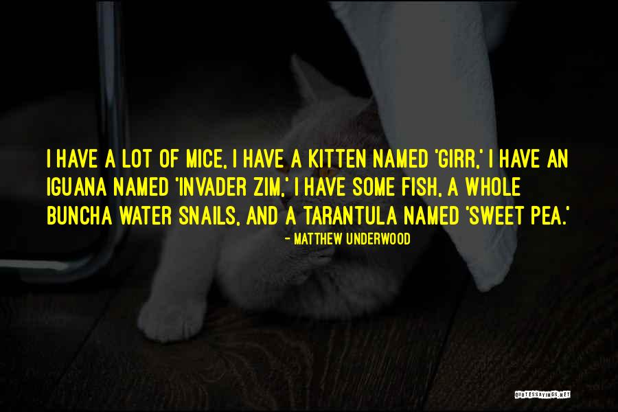 Dunlavy Sc V Quotes By Matthew Underwood Dunlavy Sc V Quotes By Matthew Underwood
