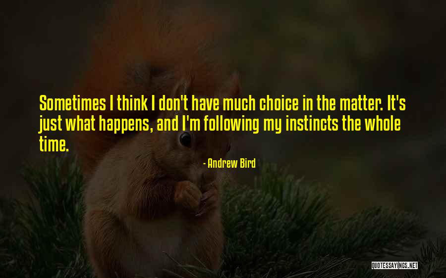 Dunleavy Basketball Quotes By Andrew Bird Dunleavy Basketball Quotes By Andrew Bird