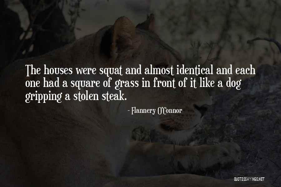 Dunmyer Lutheran Quotes By Flannery O'Connor Dunmyer Lutheran Quotes By Flannery O'Connor