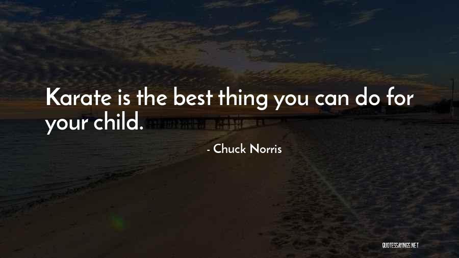 Dunningham Castle Quotes By Chuck Norris Dunningham Castle Quotes By Chuck Norris