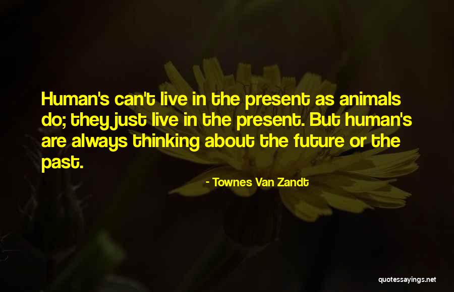 Dunree Quotes By Townes Van Zandt Dunree Quotes By Townes Van Zandt