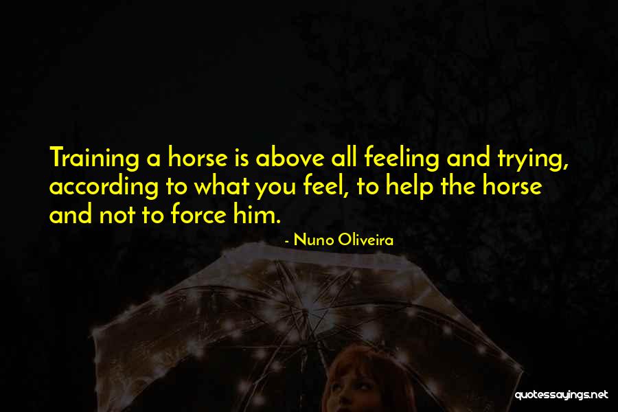 Dunsfold Park Quotes By Nuno Oliveira Dunsfold Park Quotes By Nuno Oliveira