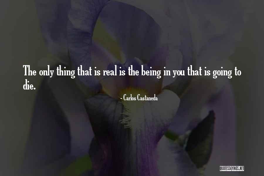 Duparc Extase Quotes By Carlos Castaneda Duparc Extase Quotes By Carlos Castaneda