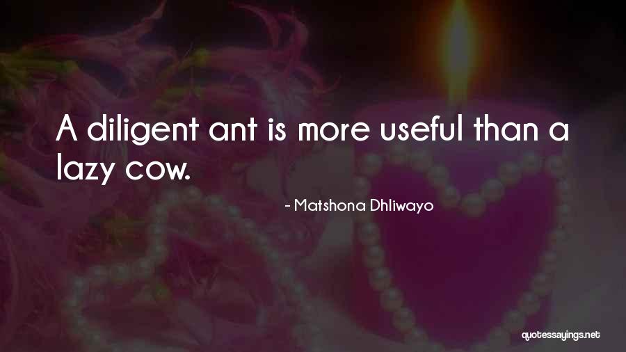 Duraid Laham Quotes By Matshona Dhliwayo Duraid Laham Quotes By Matshona Dhliwayo