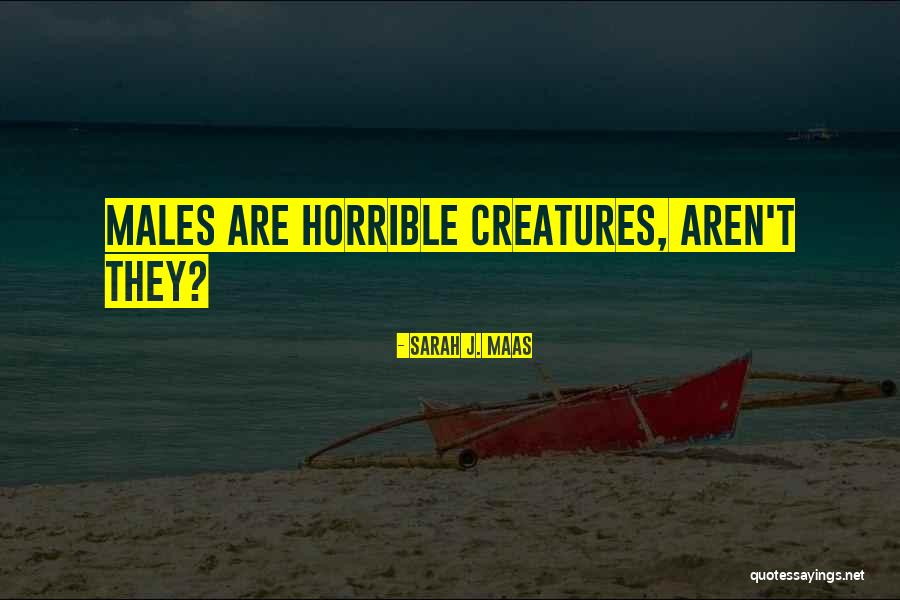 Duraseal Quotes By Sarah J. Maas Duraseal Quotes By Sarah J. Maas