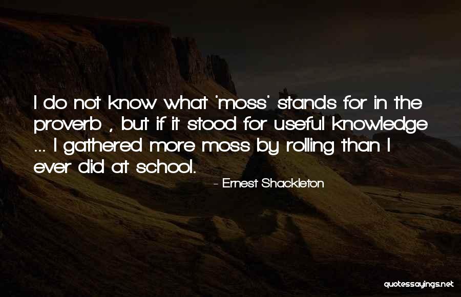 Durbridge Melissa Quotes By Ernest Shackleton Durbridge Melissa Quotes By Ernest Shackleton