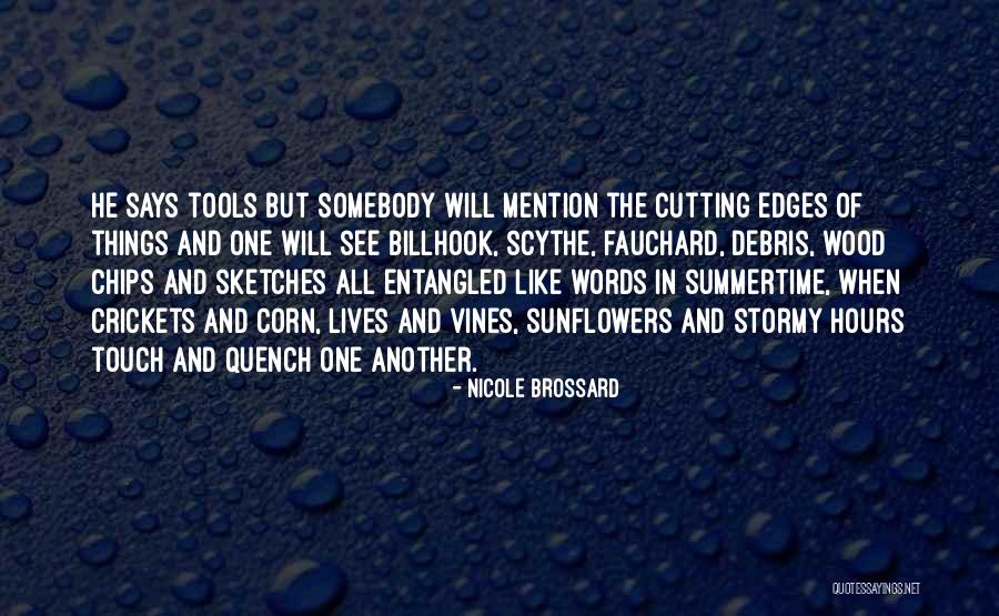 Durea Schoenen Quotes By Nicole Brossard Durea Schoenen Quotes By Nicole Brossard