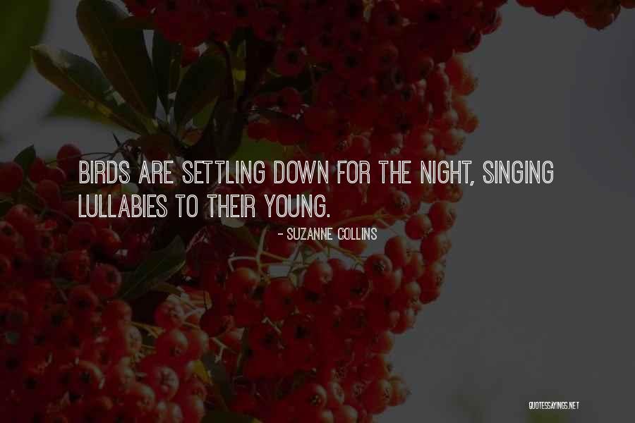 Durfees Store Quotes By Suzanne Collins Durfees Store Quotes By Suzanne Collins