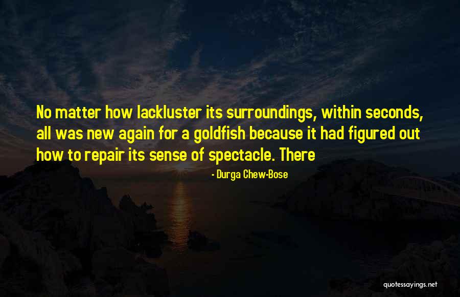 Durga Chew-Bose Quotes 179278