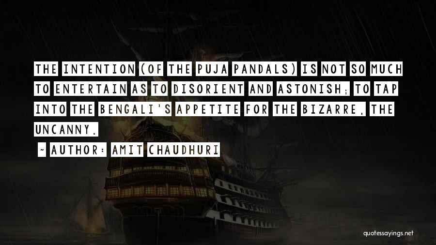 Durga Quotes By Amit Chaudhuri