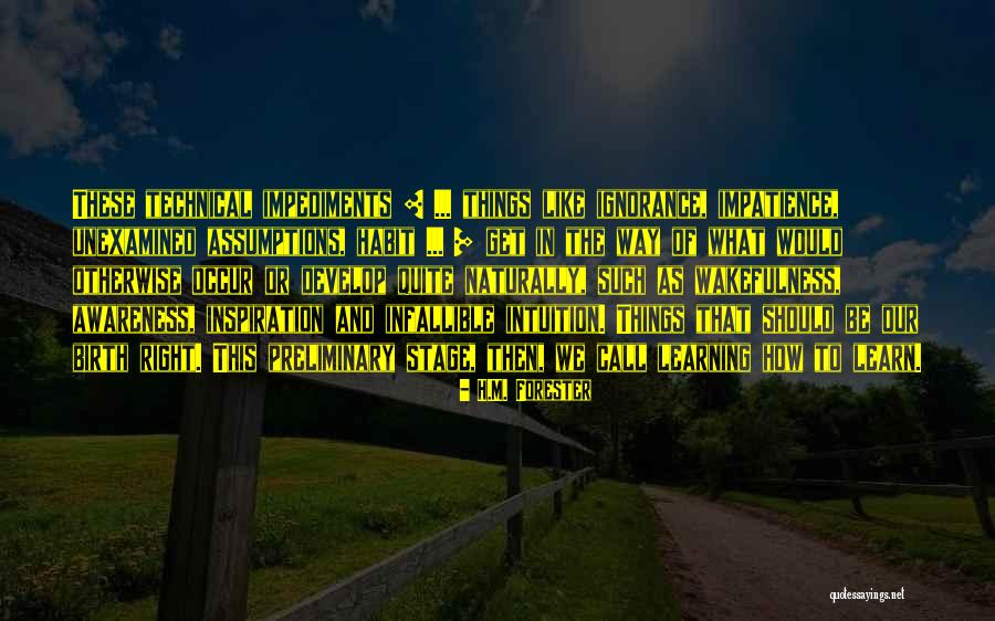 Durians Backdrop Quotes By H.M. Forester Durians Backdrop Quotes By H.M. Forester