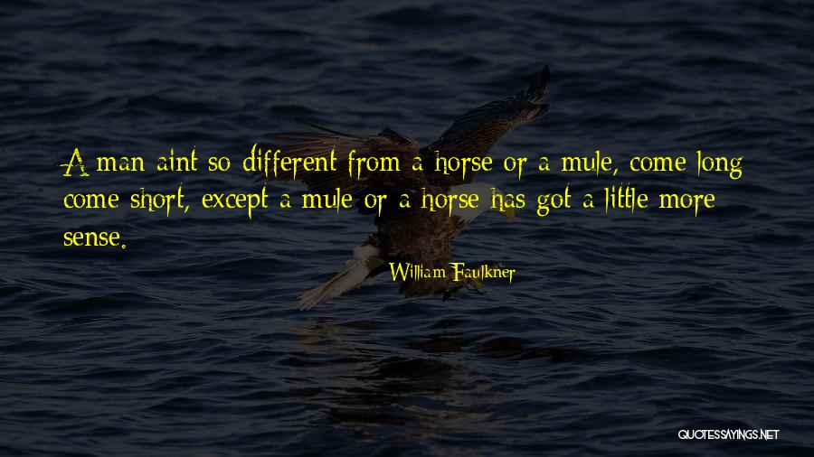 Duritzas Foods Quotes By William Faulkner Duritzas Foods Quotes By William Faulkner